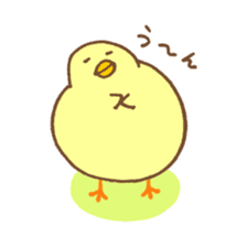 chicken days sticker #2498172