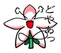 Flower that gets excited sticker #2502254