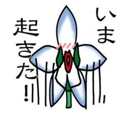 Flower that gets excited sticker #2502283