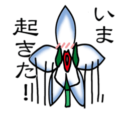 Flower that gets excited sticker #2502283