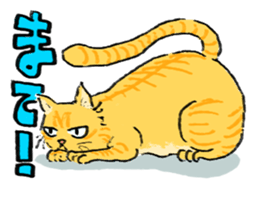 KYAN is a cat of share house. sticker #2503127