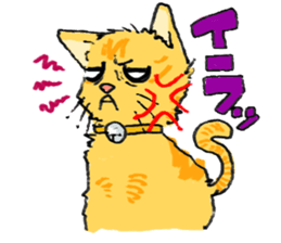 KYAN is a cat of share house. sticker #2503137