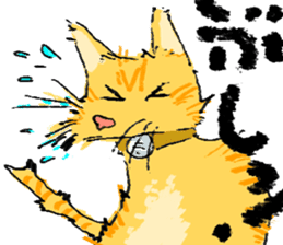 KYAN is a cat of share house. sticker #2503139