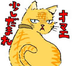 KYAN is a cat of share house. sticker #2503142