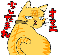 KYAN is a cat of share house. sticker #2503142