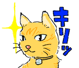 KYAN is a cat of share house. sticker #2503143
