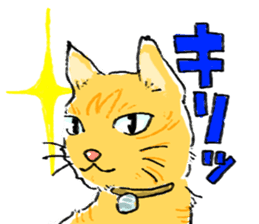 KYAN is a cat of share house. sticker #2503143