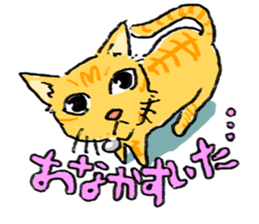 KYAN is a cat of share house. sticker #2503150