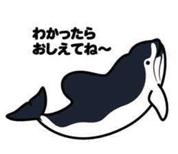 Whales & Dolphins around the world vol.2 sticker #2507049