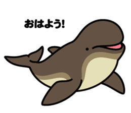 Whales & Dolphins around the world vol.2 sticker #2507051