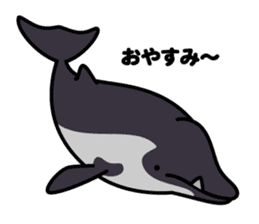 Whales & Dolphins around the world vol.2 sticker #2507052