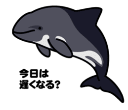 Whales & Dolphins around the world vol.2 sticker #2507053