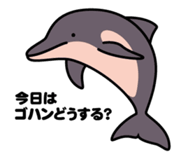 Whales & Dolphins around the world vol.2 sticker #2507055