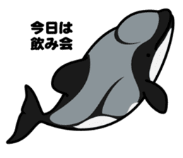 Whales & Dolphins around the world vol.2 sticker #2507056