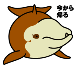 Whales & Dolphins around the world vol.2 sticker #2507057