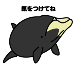 Whales & Dolphins around the world vol.2 sticker #2507058