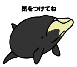Whales & Dolphins around the world vol.2 sticker #2507058