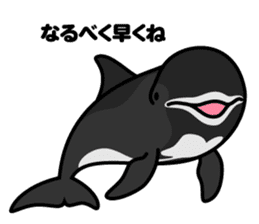 Whales & Dolphins around the world vol.2 sticker #2507059