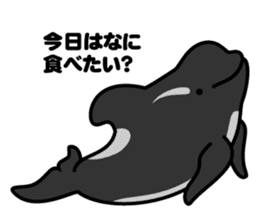 Whales & Dolphins around the world vol.2 sticker #2507060
