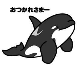 Whales & Dolphins around the world vol.2 sticker #2507061