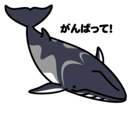 Whales & Dolphins around the world vol.2 sticker #2507062