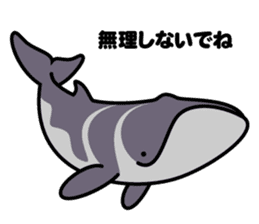 Whales & Dolphins around the world vol.2 sticker #2507063