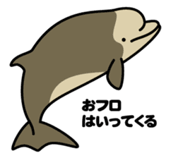 Whales & Dolphins around the world vol.2 sticker #2507069