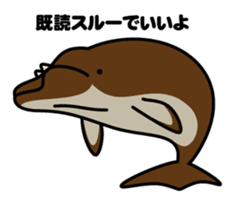 Whales & Dolphins around the world vol.2 sticker #2507070