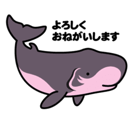 Whales & Dolphins around the world vol.2 sticker #2507071