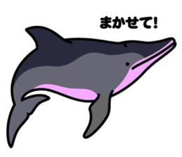 Whales & Dolphins around the world vol.2 sticker #2507072