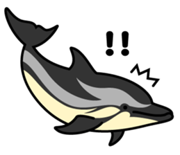 Whales & Dolphins around the world vol.2 sticker #2507073