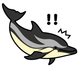 Whales & Dolphins around the world vol.2 sticker #2507073