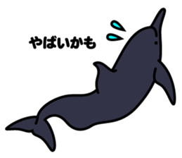 Whales & Dolphins around the world vol.2 sticker #2507074