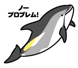 Whales & Dolphins around the world vol.2 sticker #2507075