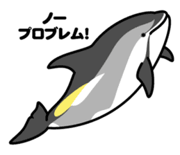 Whales & Dolphins around the world vol.2 sticker #2507075