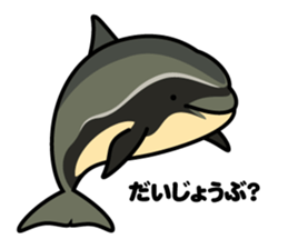 Whales & Dolphins around the world vol.2 sticker #2507076