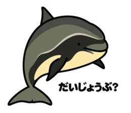 Whales & Dolphins around the world vol.2 sticker #2507076