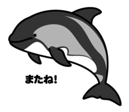 Whales & Dolphins around the world vol.2 sticker #2507078