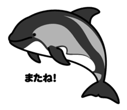 Whales & Dolphins around the world vol.2 sticker #2507078