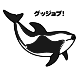Whales & Dolphins around the world vol.2 sticker #2507079