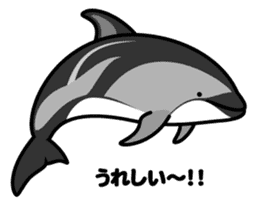 Whales & Dolphins around the world vol.2 sticker #2507080