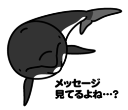 Whales & Dolphins around the world vol.2 sticker #2507081