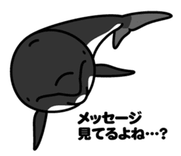 Whales & Dolphins around the world vol.2 sticker #2507081