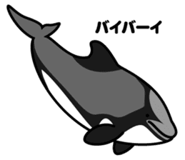 Whales & Dolphins around the world vol.2 sticker #2507082