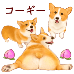 สติ๊กเกอร์ไลน์ Corgi illustration Sticker