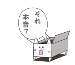 Box cats sticker #2509030