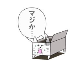 Box cats sticker #2509031