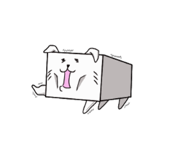 Box cats sticker #2509044