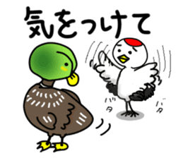 Daily life of the Japanese crane. sticker #2511498