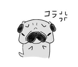 pug-dog sticker sticker #2514655